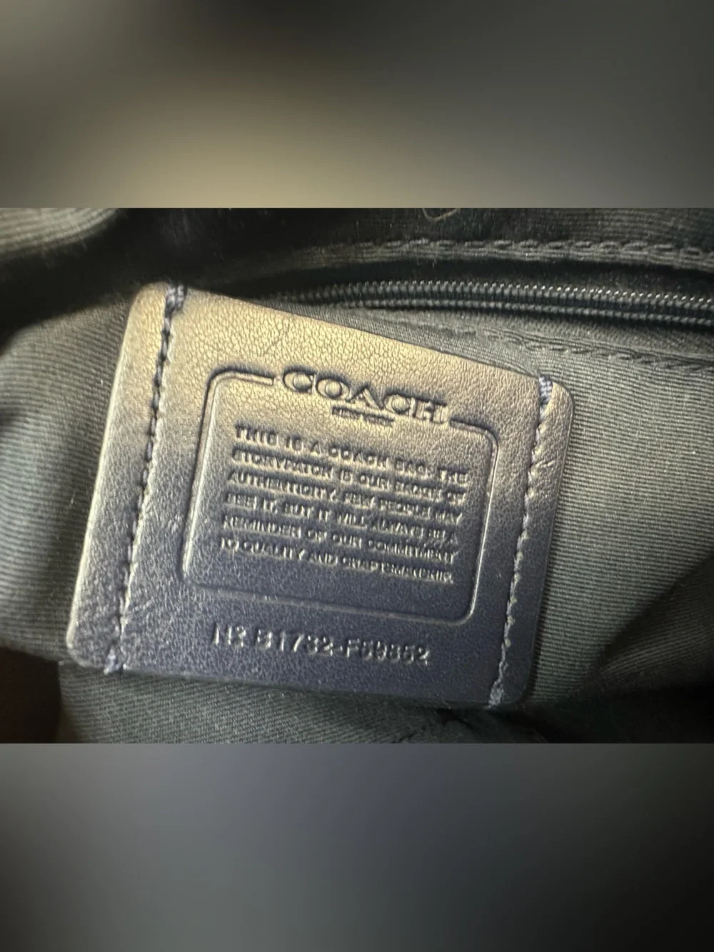 Coach mini sierra