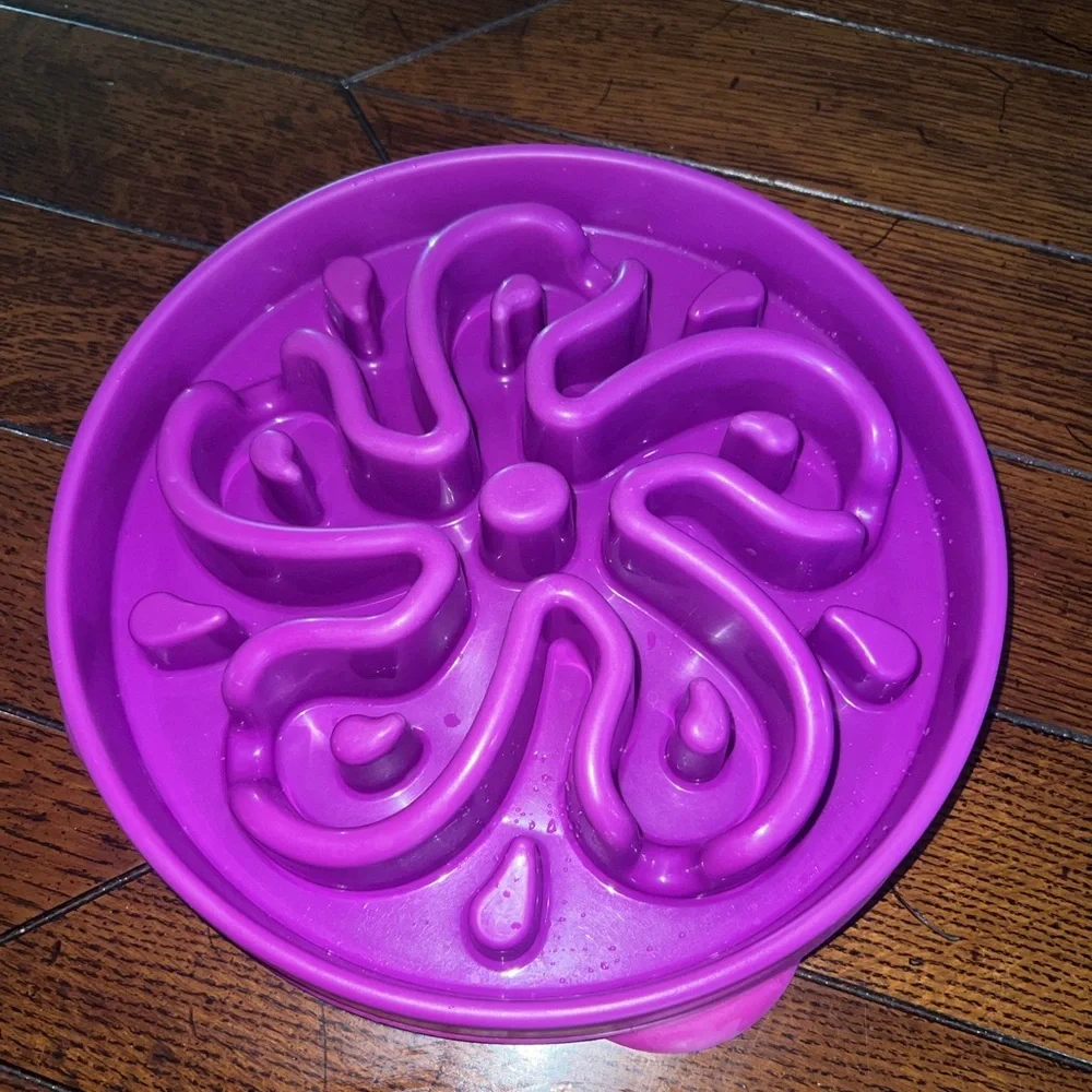 Outward Hound Purple Dog Bowl
