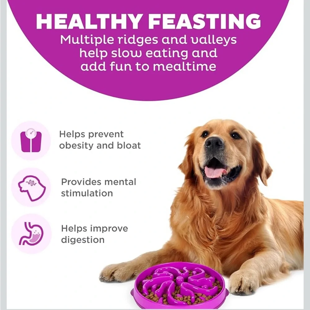 Outward Hound interactive slow