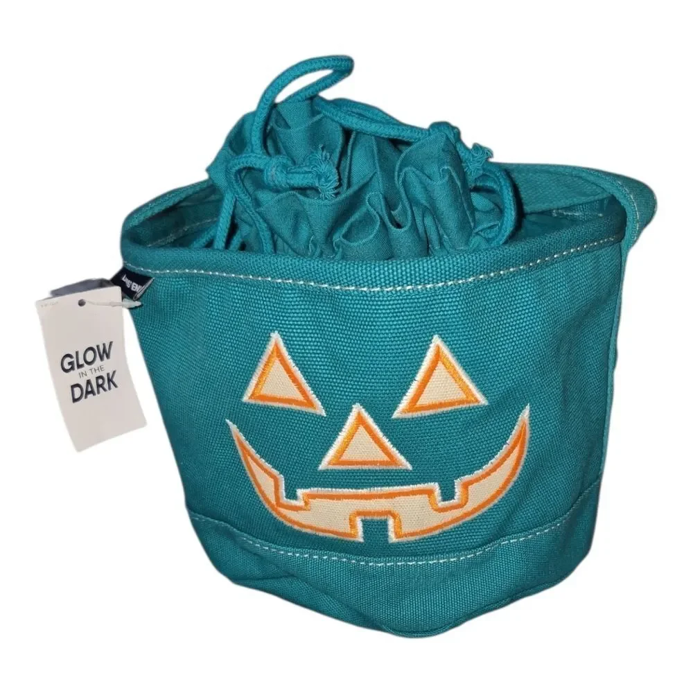 Land's End NWT Teal Glow in the Dark Halloween Drawstring Tote