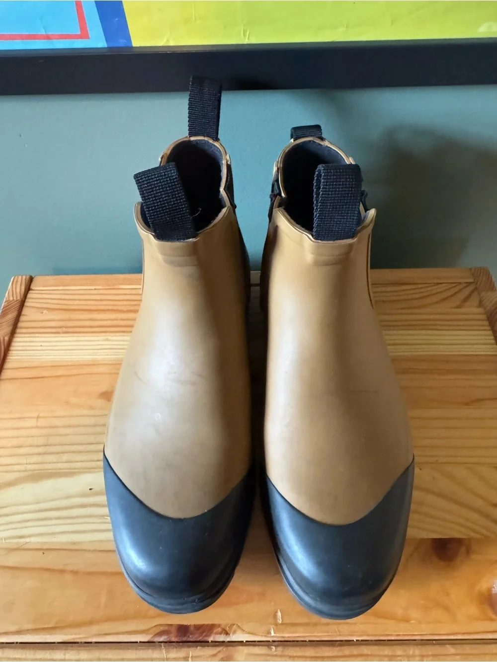 Everlane waterproof chelsea