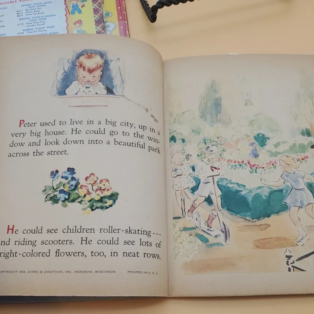 N/A bonnie book