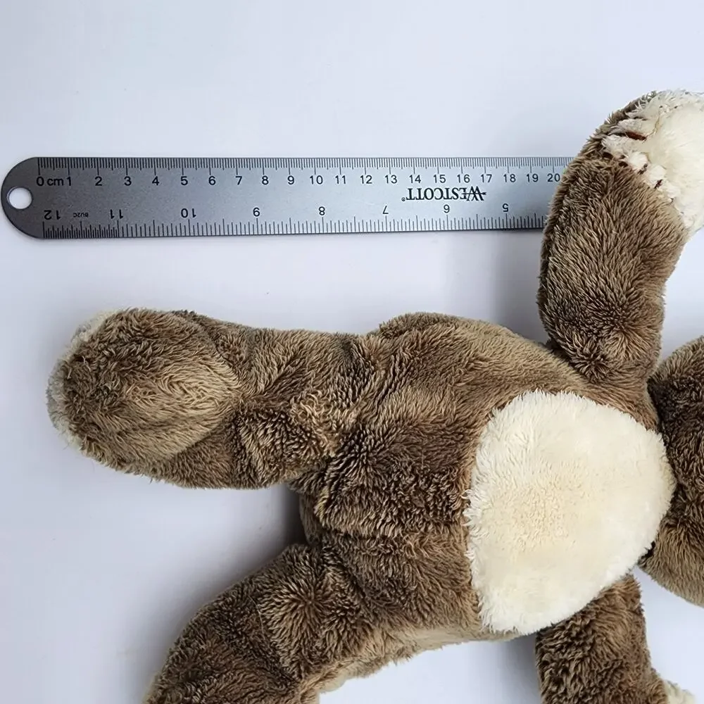 TOLO teddy bear