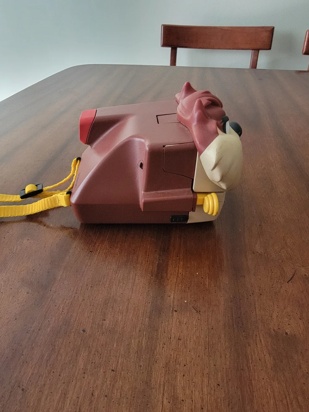 Polaroid taz novelty