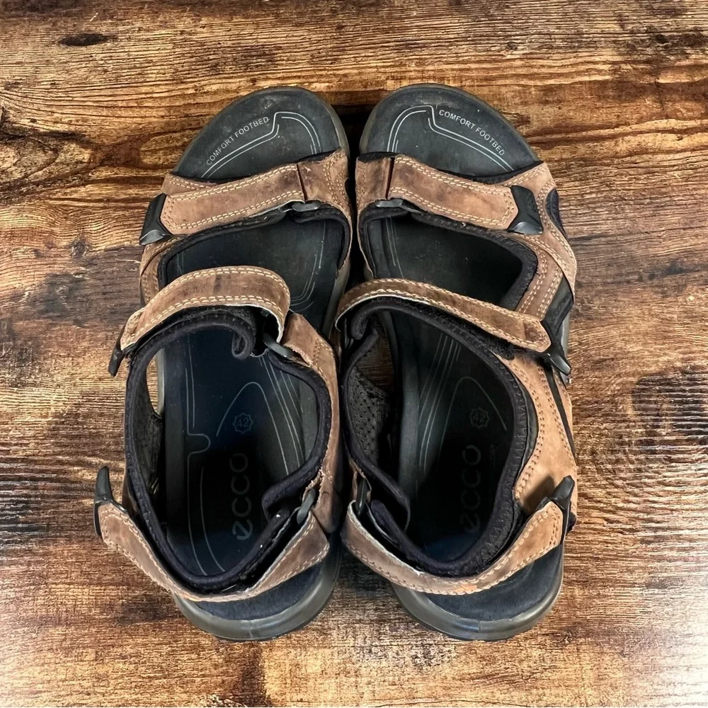 Ecco size men