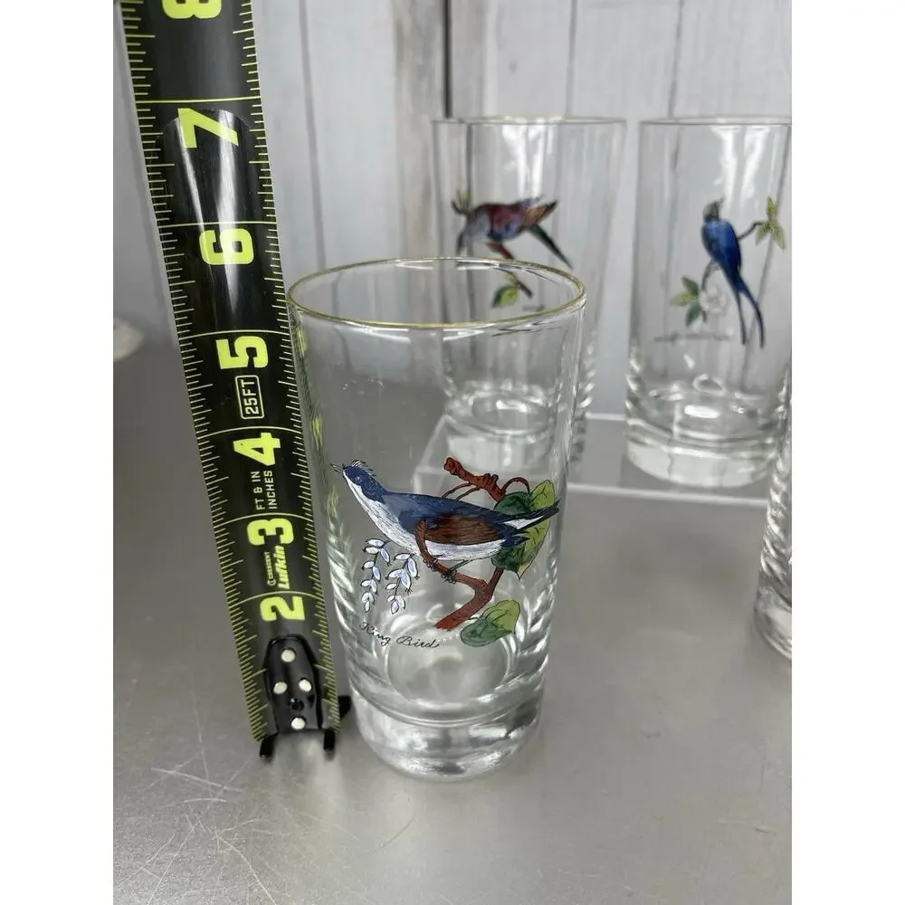 Vintage Set of 4 Hand Painted Bird Tumblers Drinking Glasses