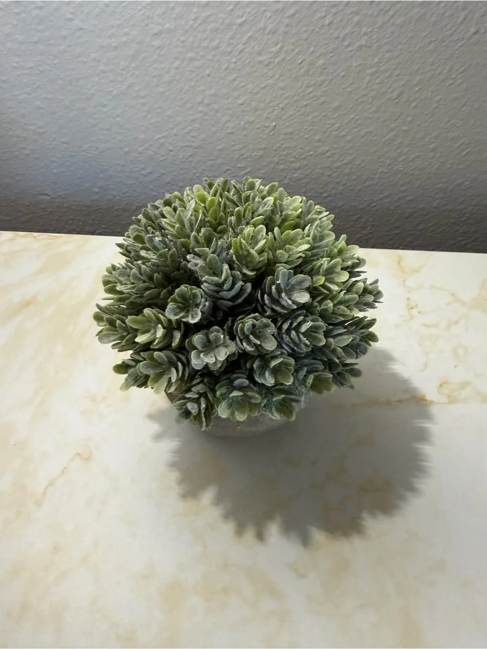 Source Unknown faux potted