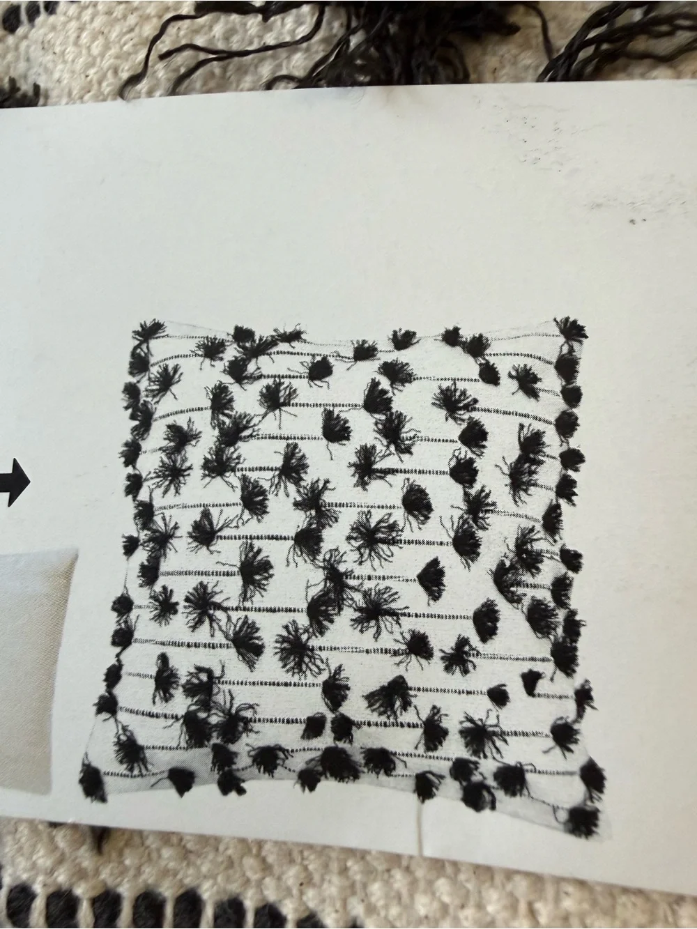 IKEA ASPSAFTMAL | Set Of 2 | Pillow Shams Cover Cream Black Tassels 20x20