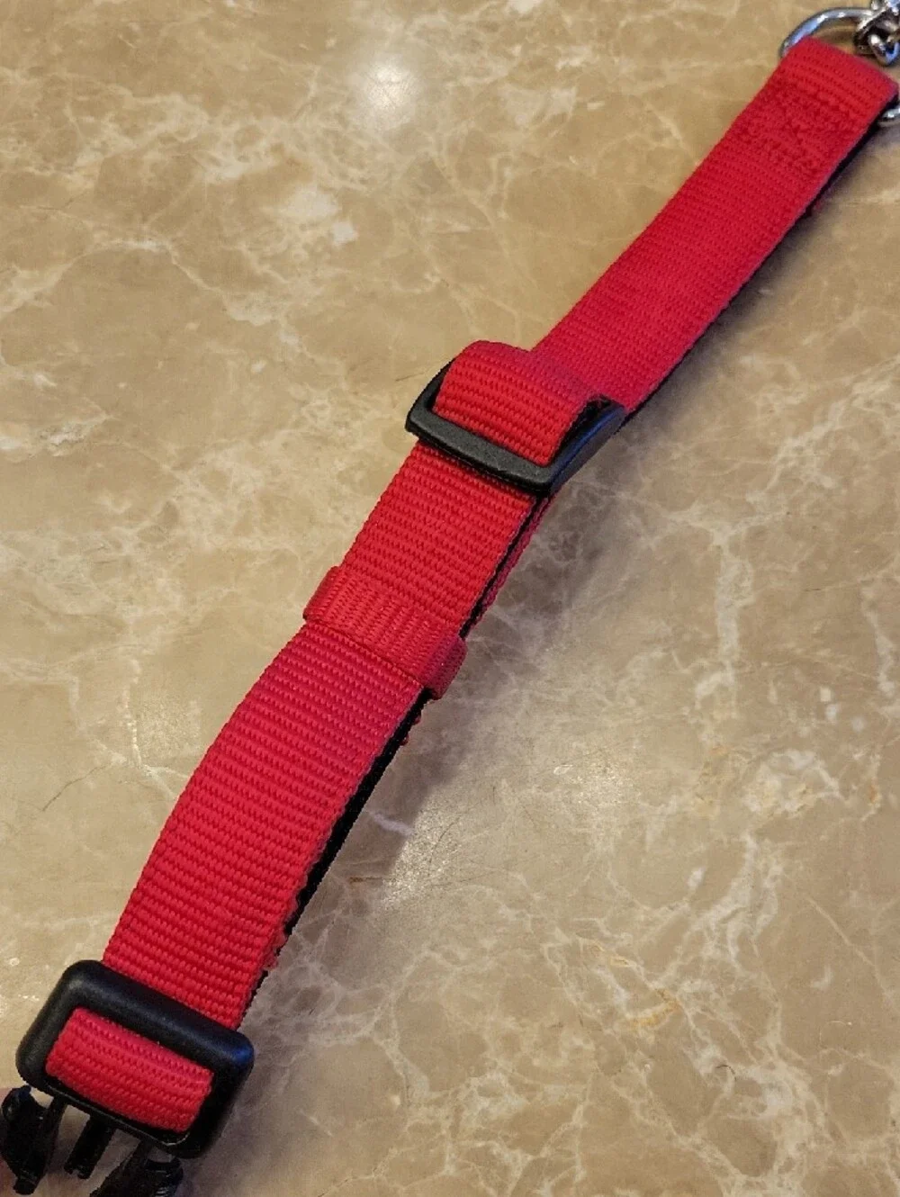 N/A buckle adjustable