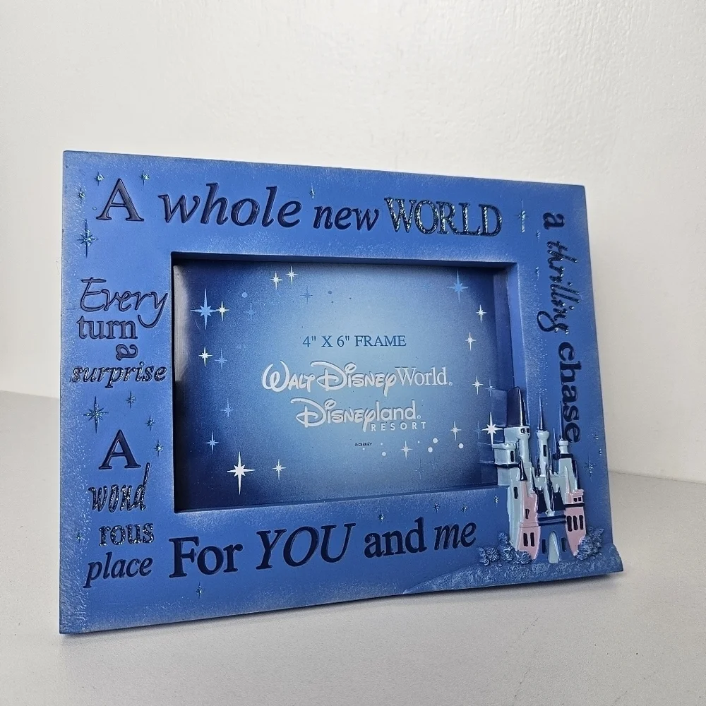 Disney Parks picture frame Aladdin