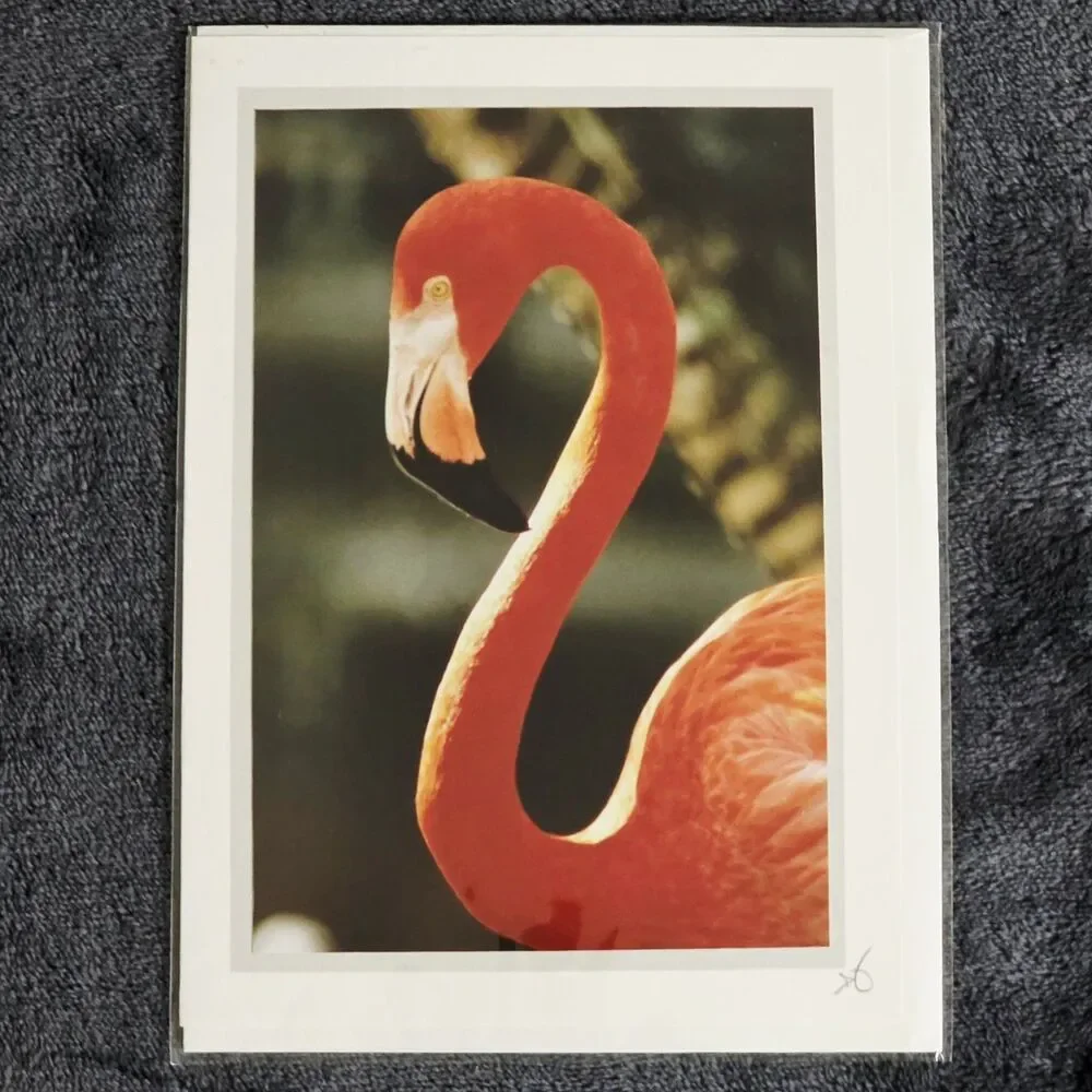5 Gary Firstenberg greeting cards Turning Negatives Into Positives 2019 Signed