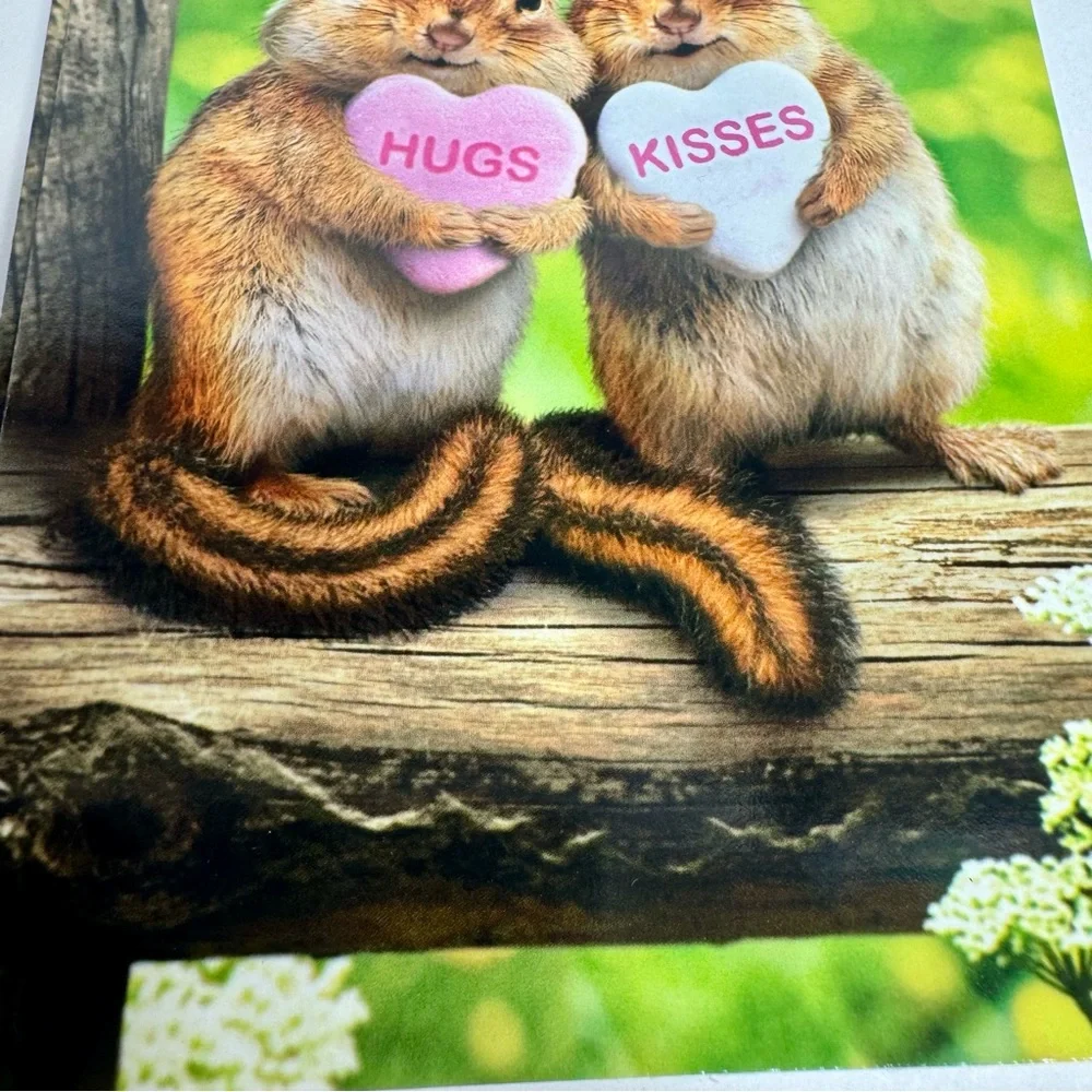 Avanti greeting cards