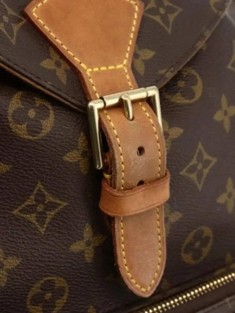 Louis Vuitton brand louis