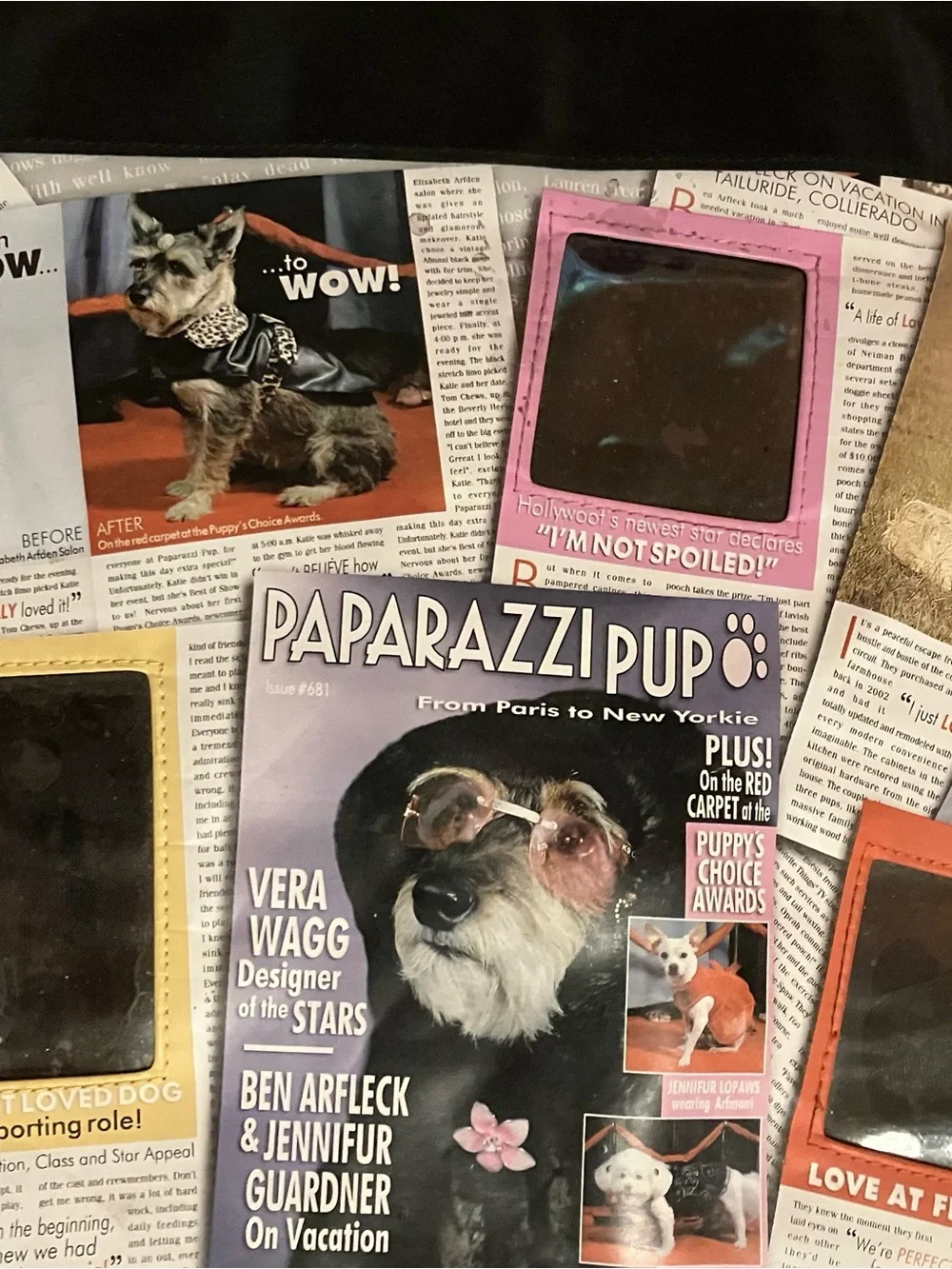 paparazzi stylish pet