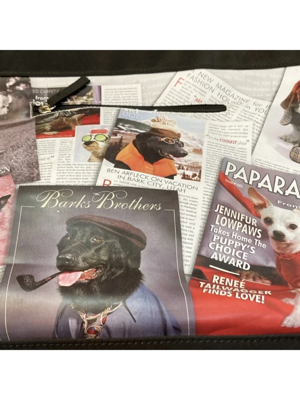 paparazzi stylish pet