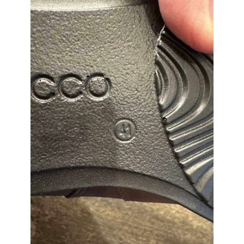 Ecco elevate your
