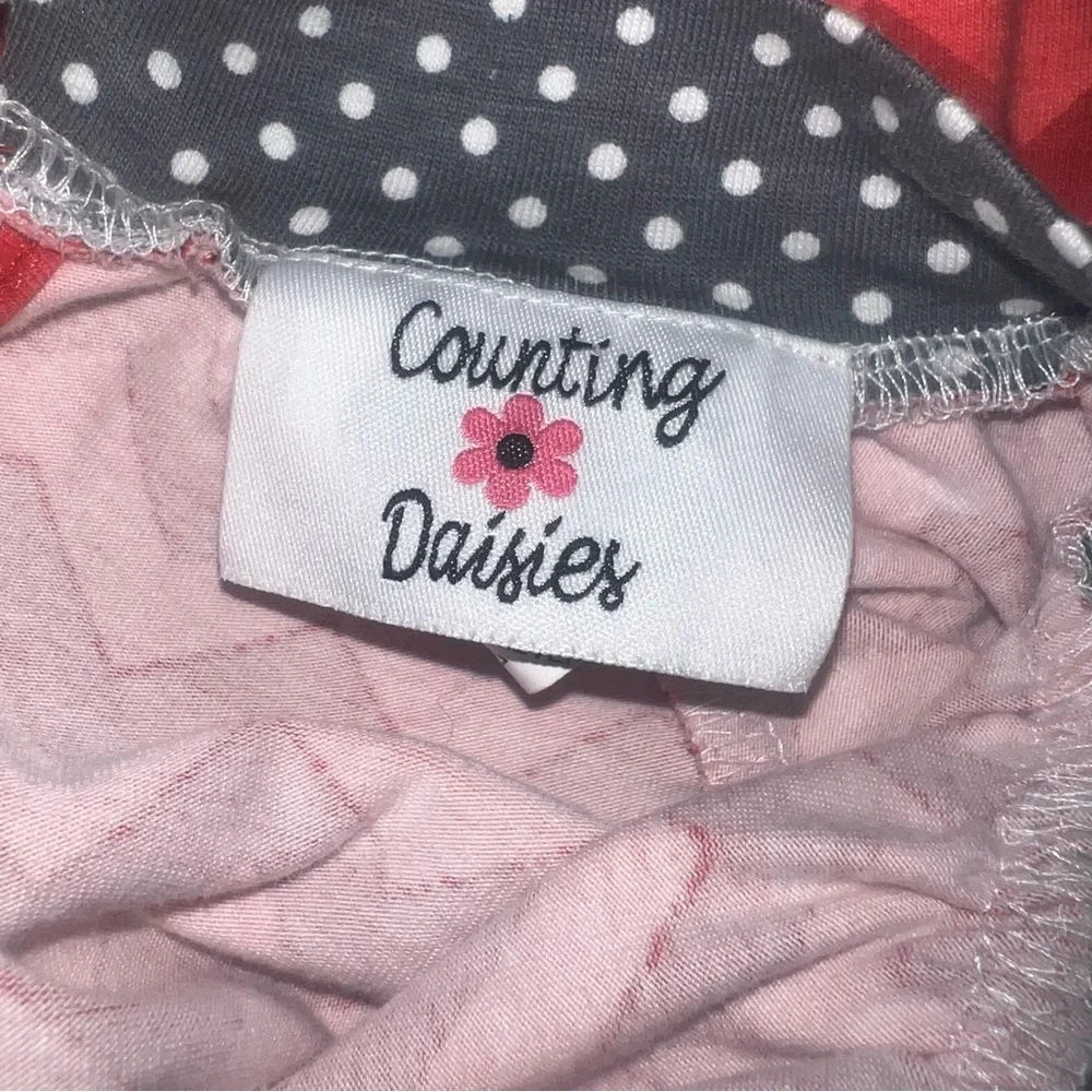 counting daisies this counting