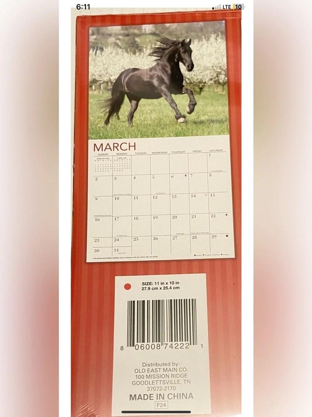 Old East Main Company 2025 horses