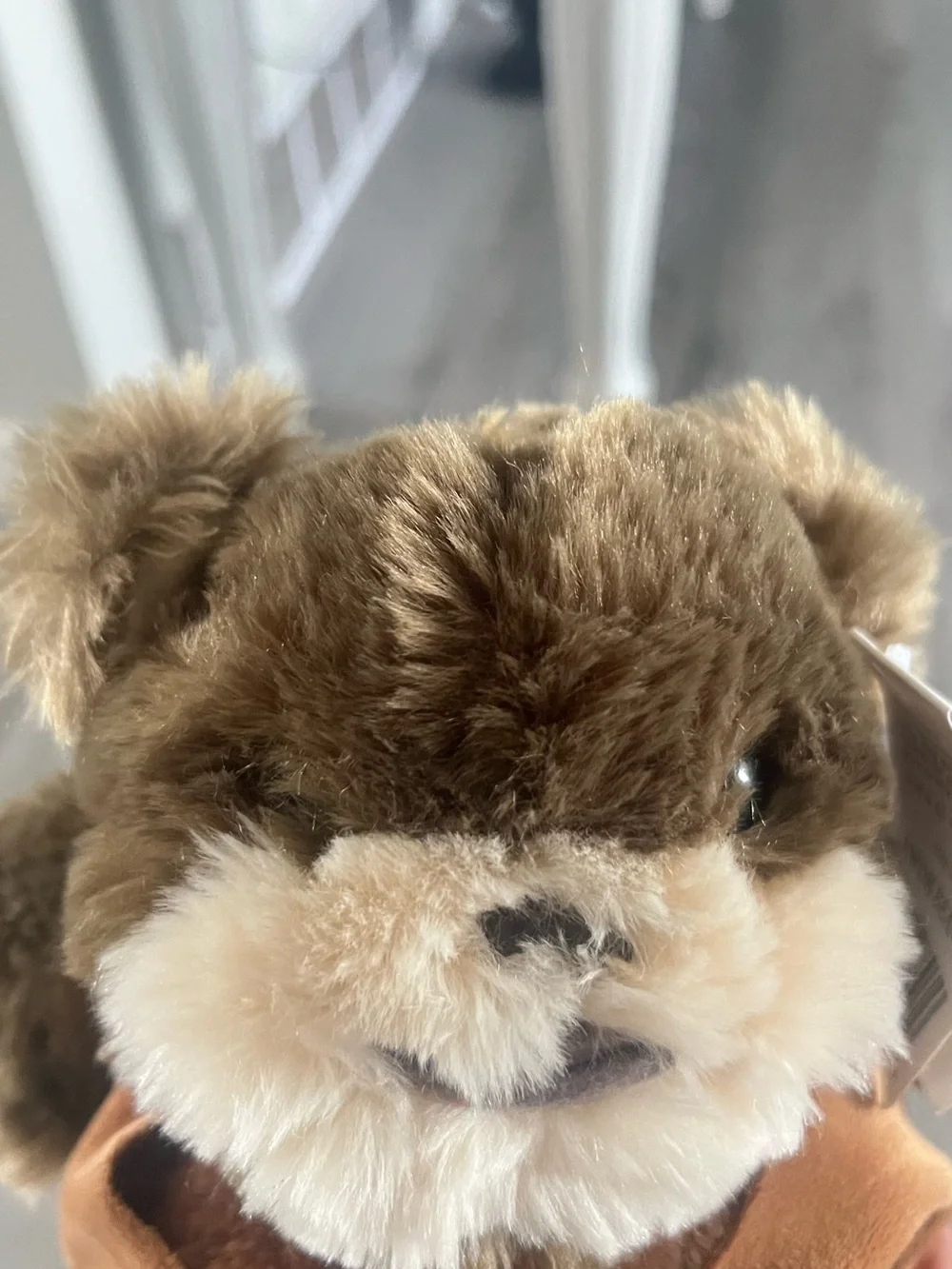 Disney Brown Plush Bear with Tan Bib - Kids Accessories