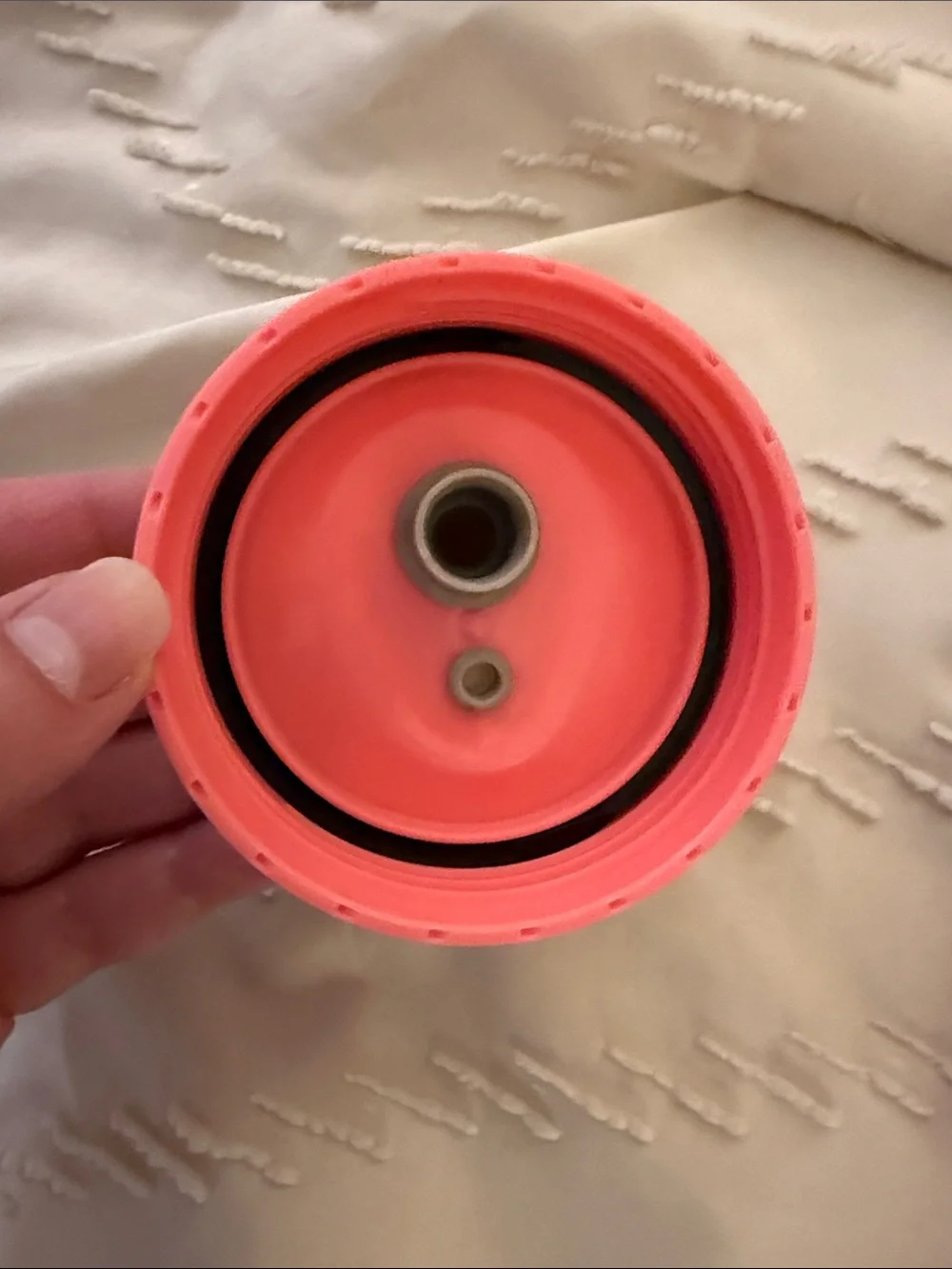 Zak! zak pink
