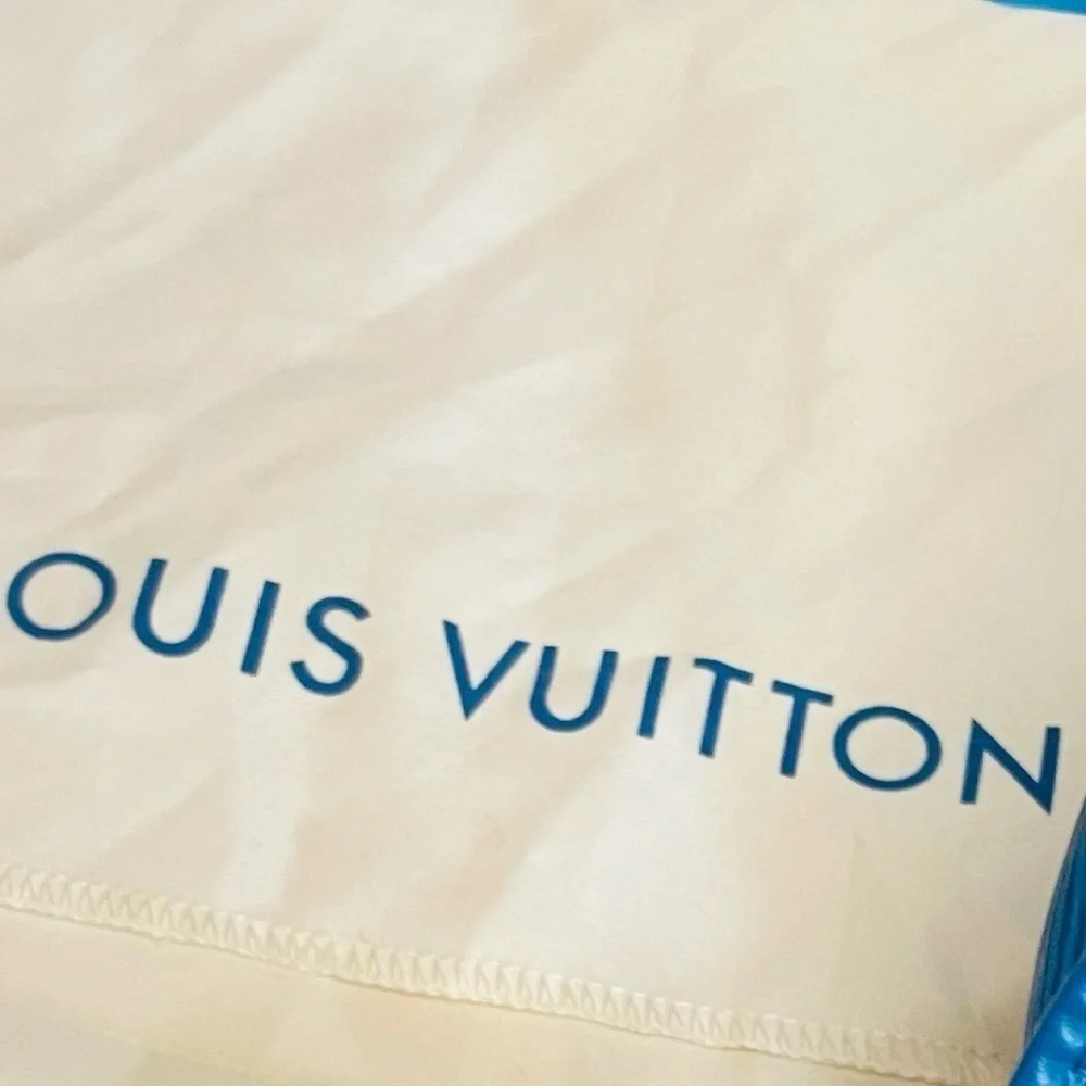 Louis Vuitton this louis