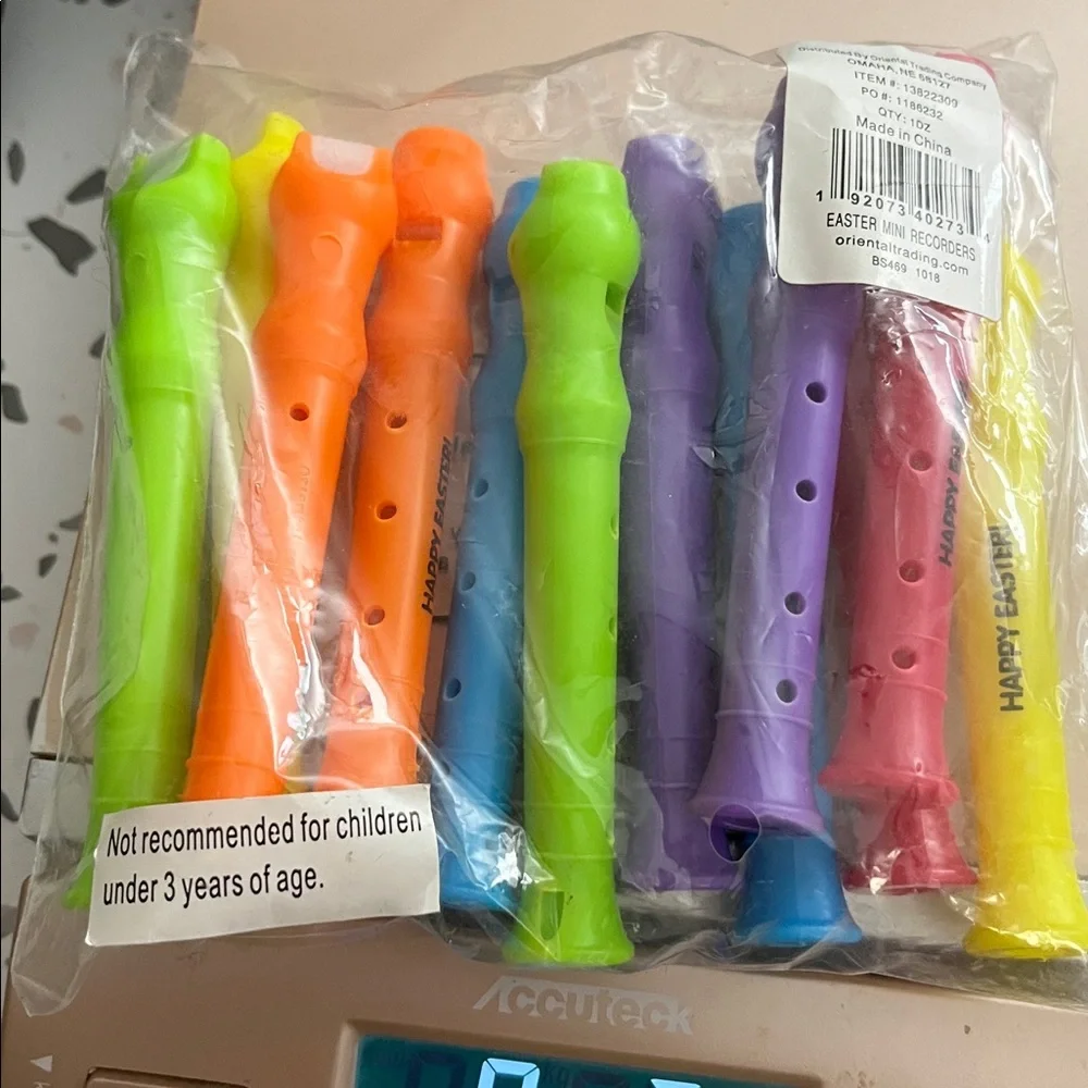 Easter Mini Recorders 12 Pack