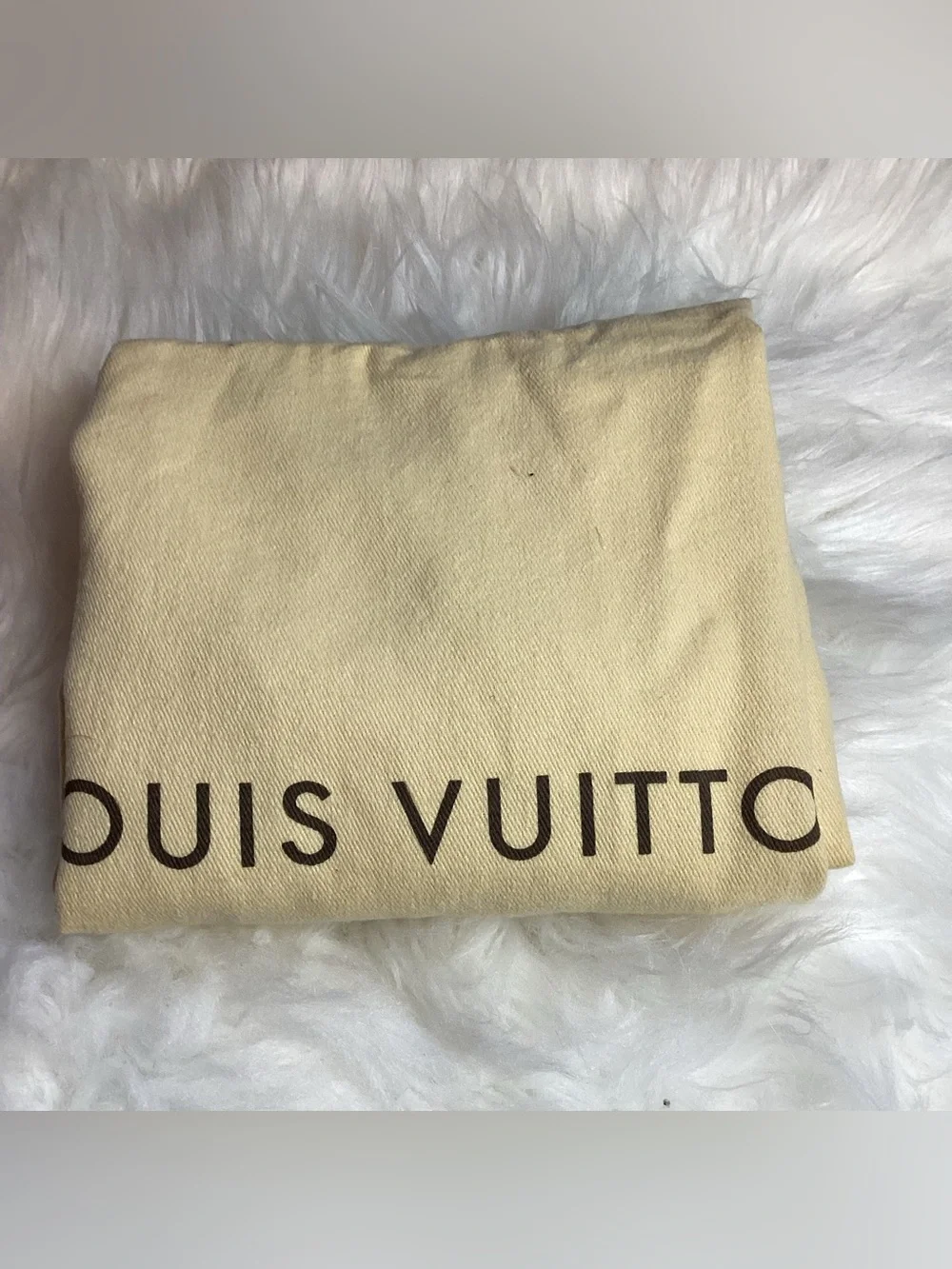 Louis Vuitton lv lining