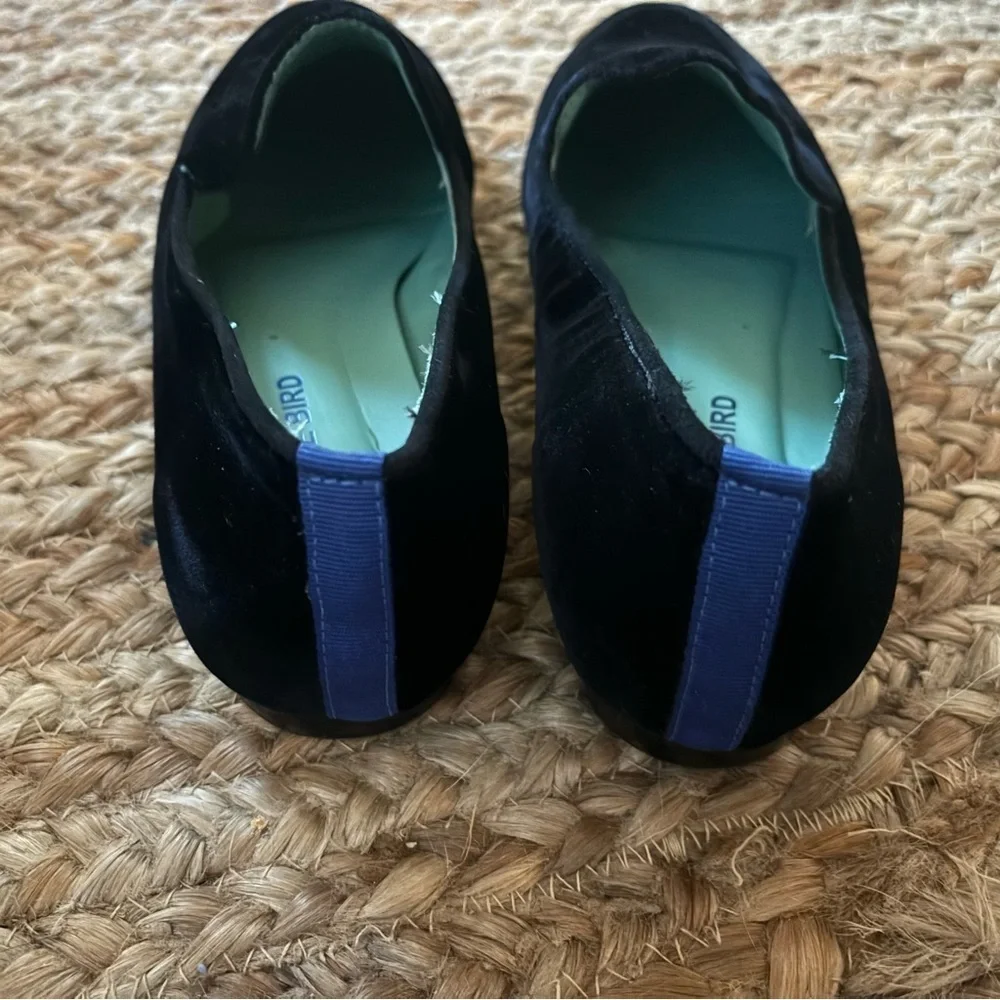 bluebird brand