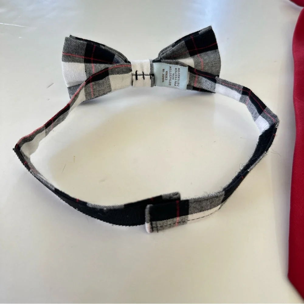 Chaps bow ties
