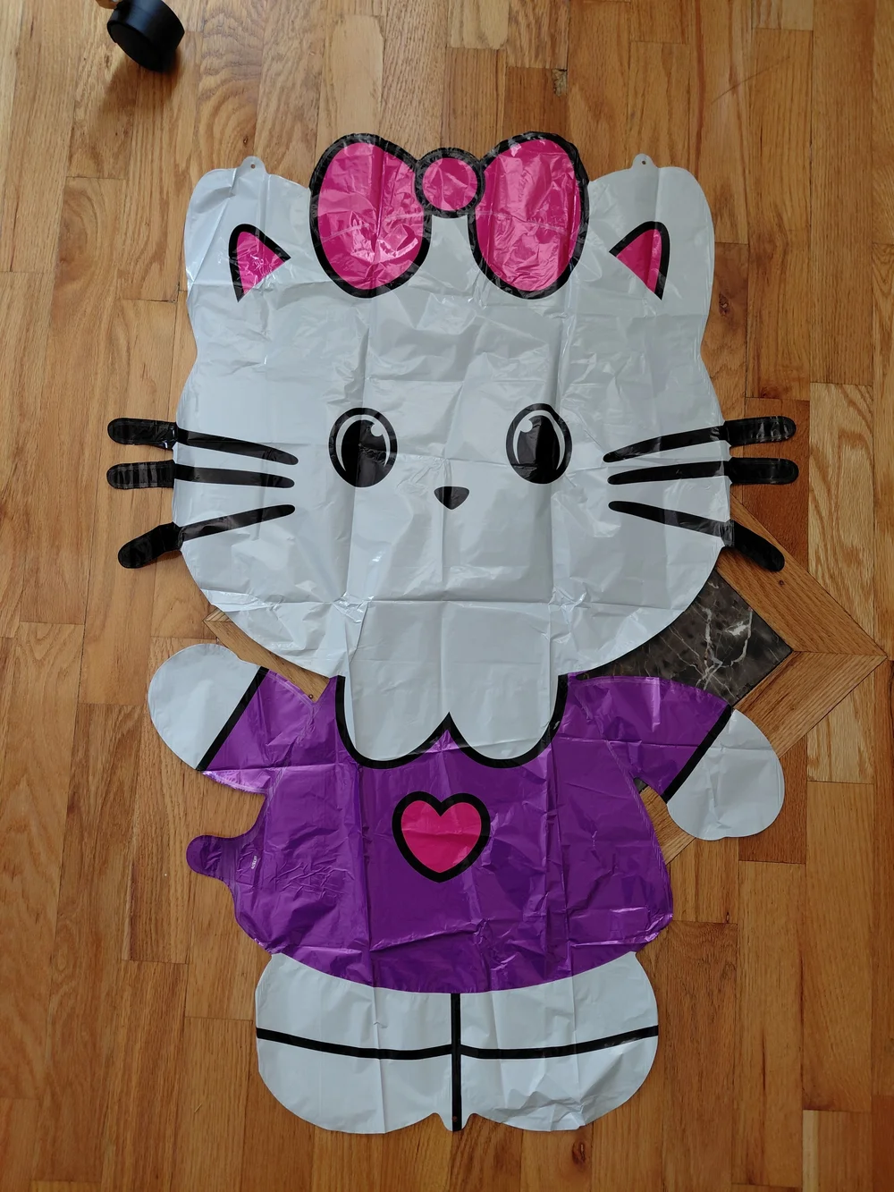 Cute Kitty this birthday