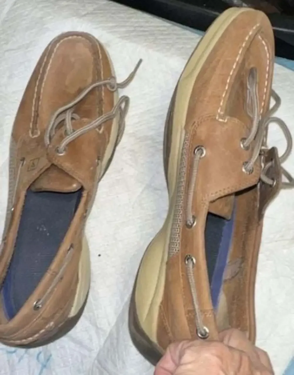Sperry top sider