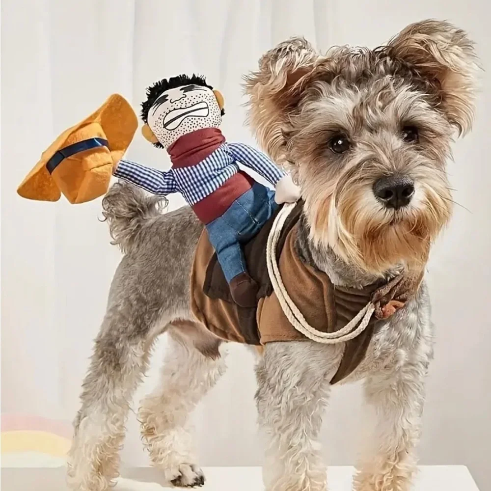 N/A adding costume cowboy