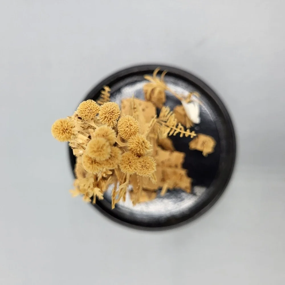 Vtg Chinese Carved Cork Diorama Glass Dome Dark Wood Base Small Shelf Decor READ