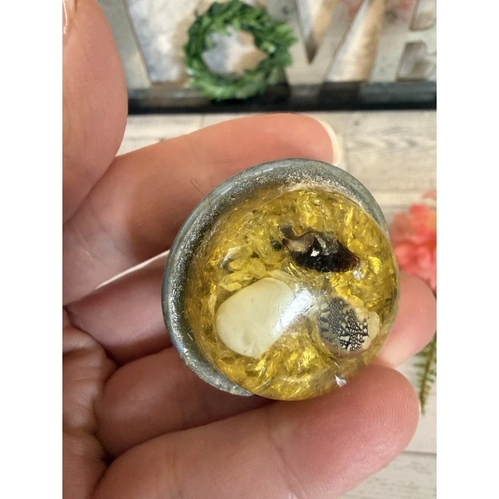 Set of 2 Vintage Resin Drawer Pulls w Suspended Shells Drawer Pull Cabinet Knobs