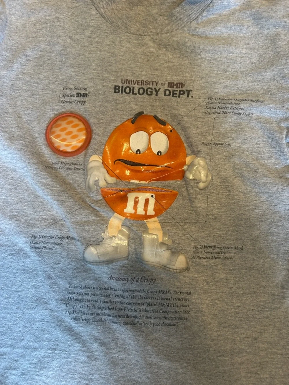 M&MS classic gray