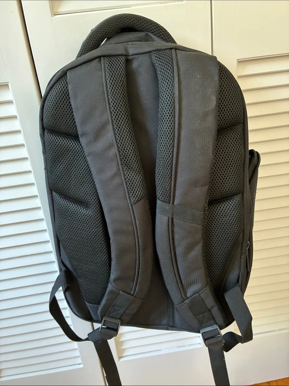 Perry Ellis sleek perry