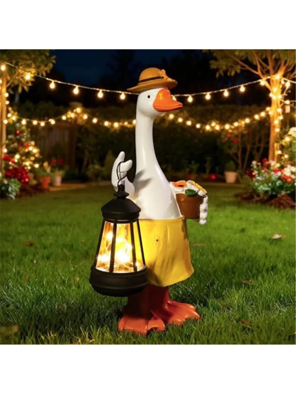 N/A 🧿color goose