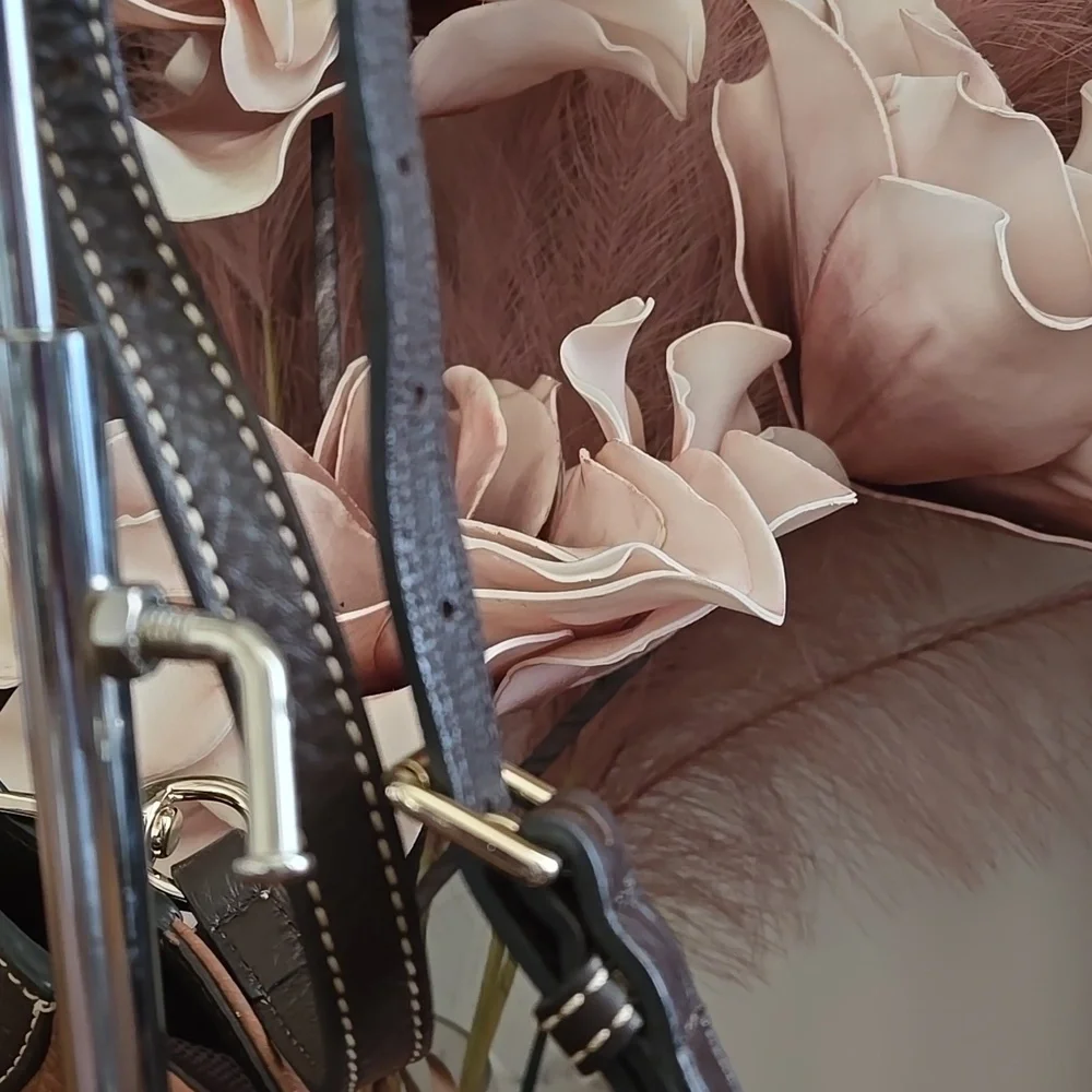 Dooney & Bourke chic crossbody