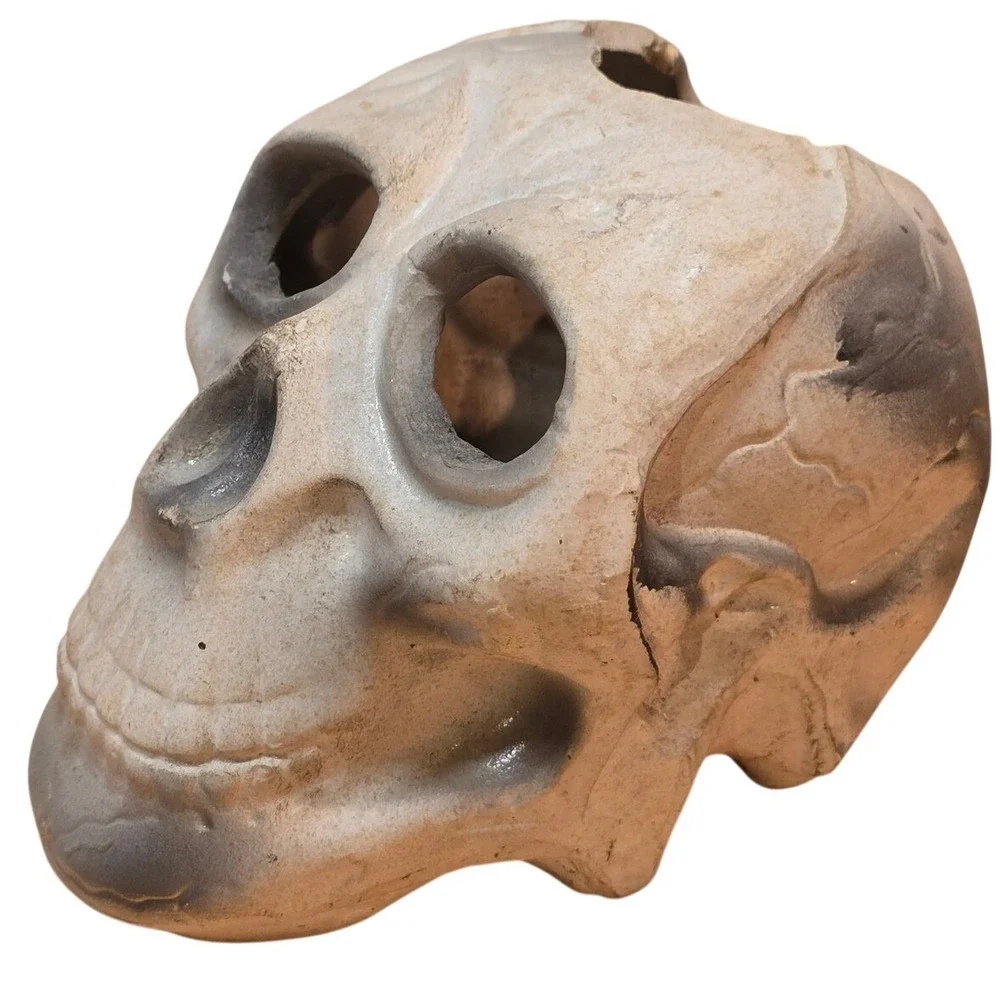 Plastic Human Skull Small 5