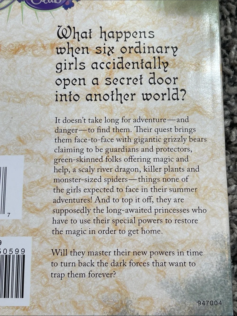 Jan Fields book wellspring