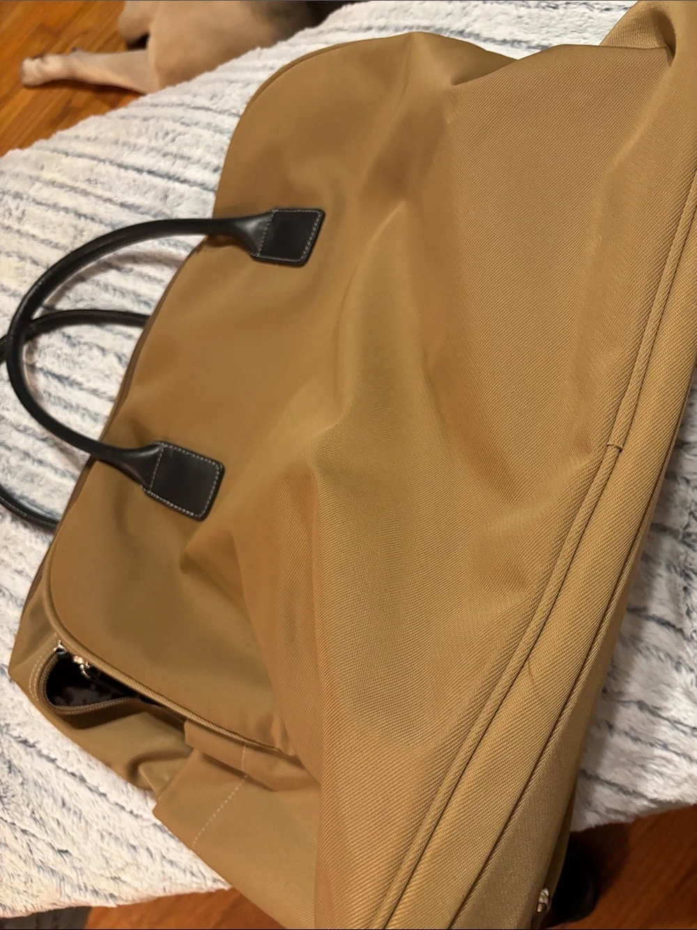 Maxx New York spacious tan