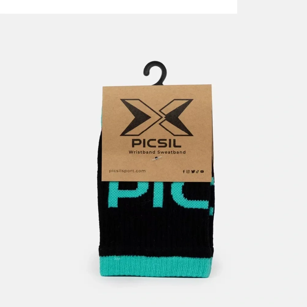 PICSIL description design