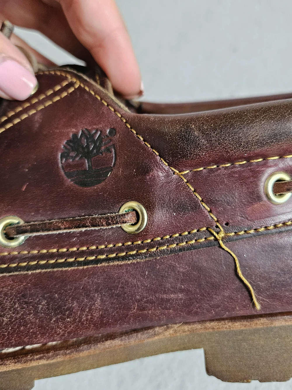 Timberland invest lifetime