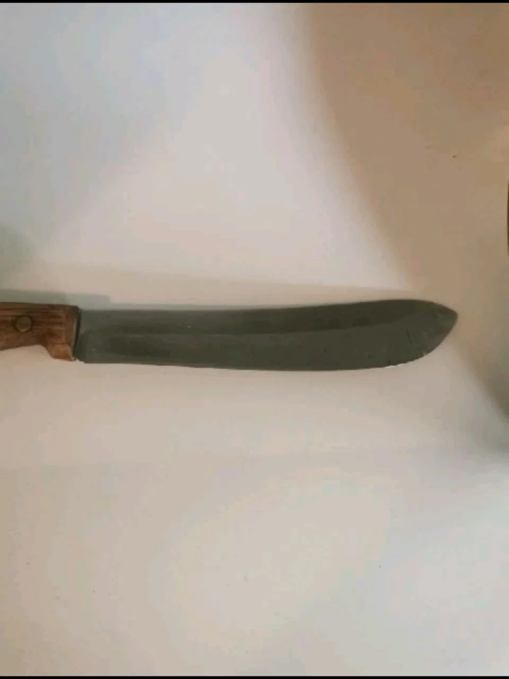 Chicago Cutlery long blade