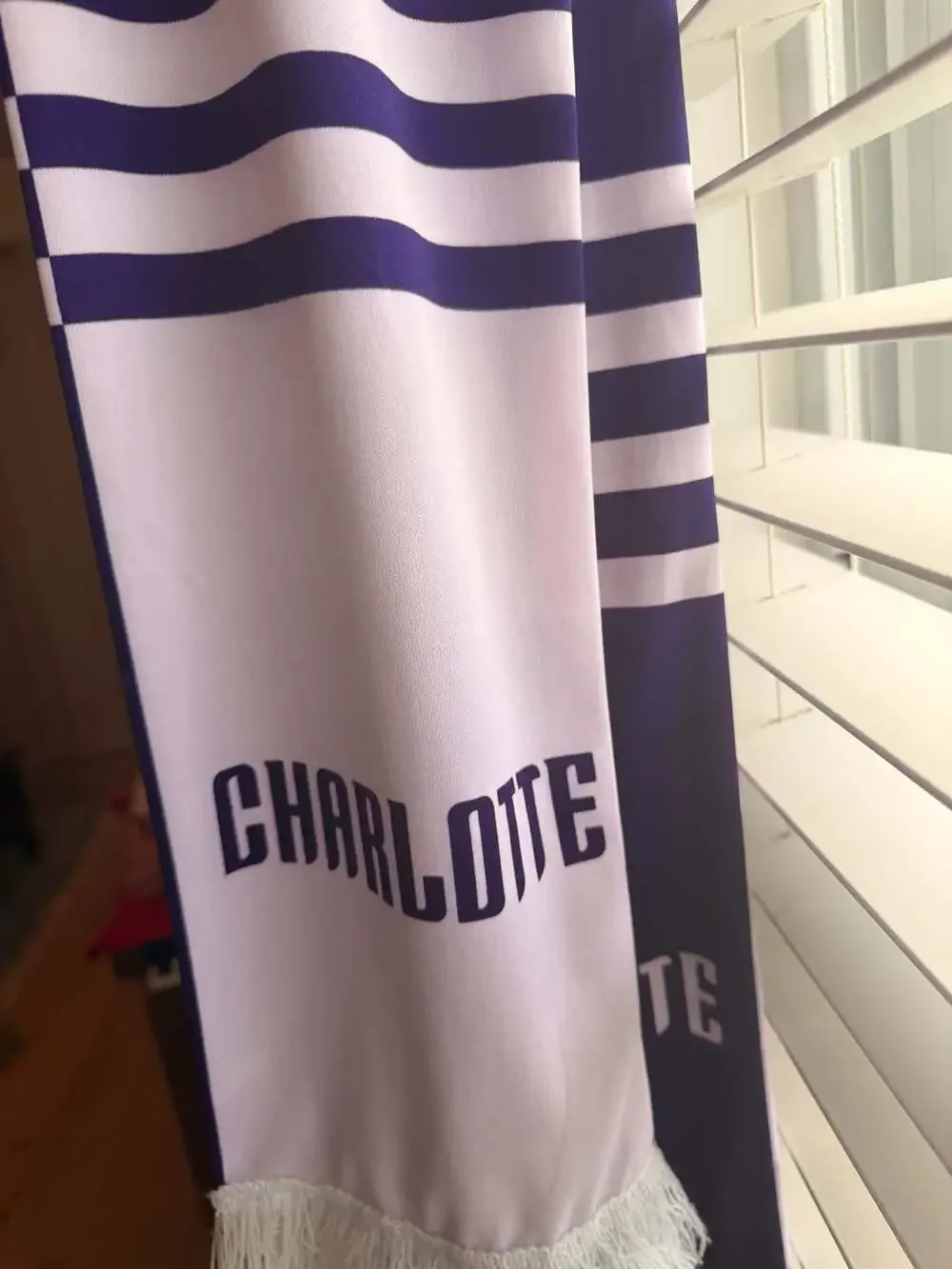 NBA charlotte hornets
