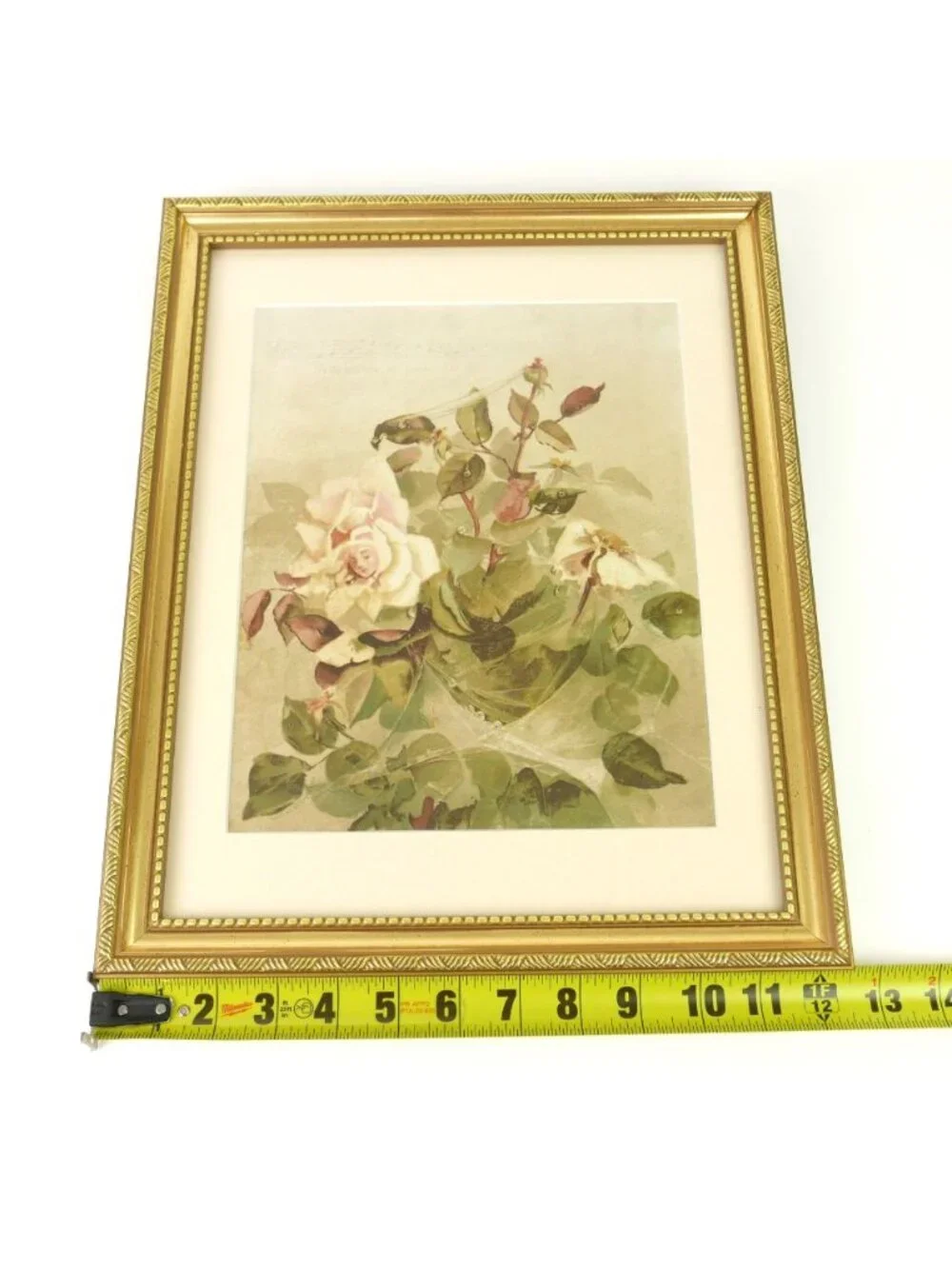 Louis Prang features nice