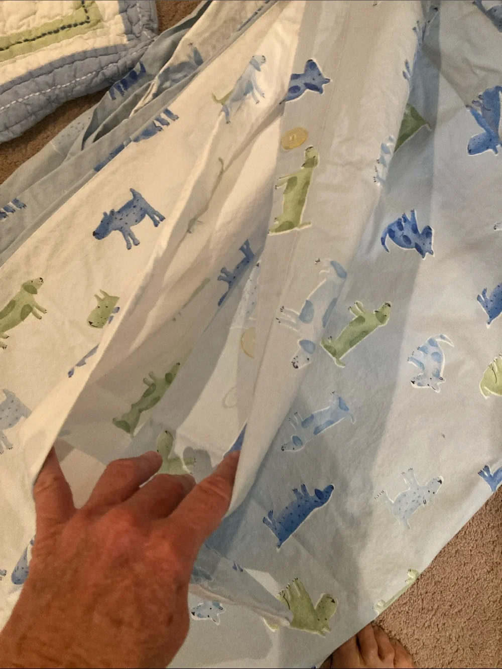 Pottery Barn Kids Blue and Green puppy Duvets  and shams for 2 twins