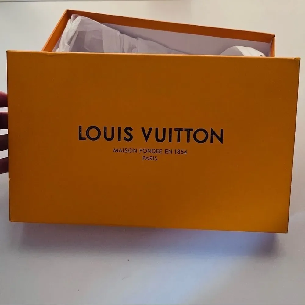 Louis Vuitton 10” louis signs