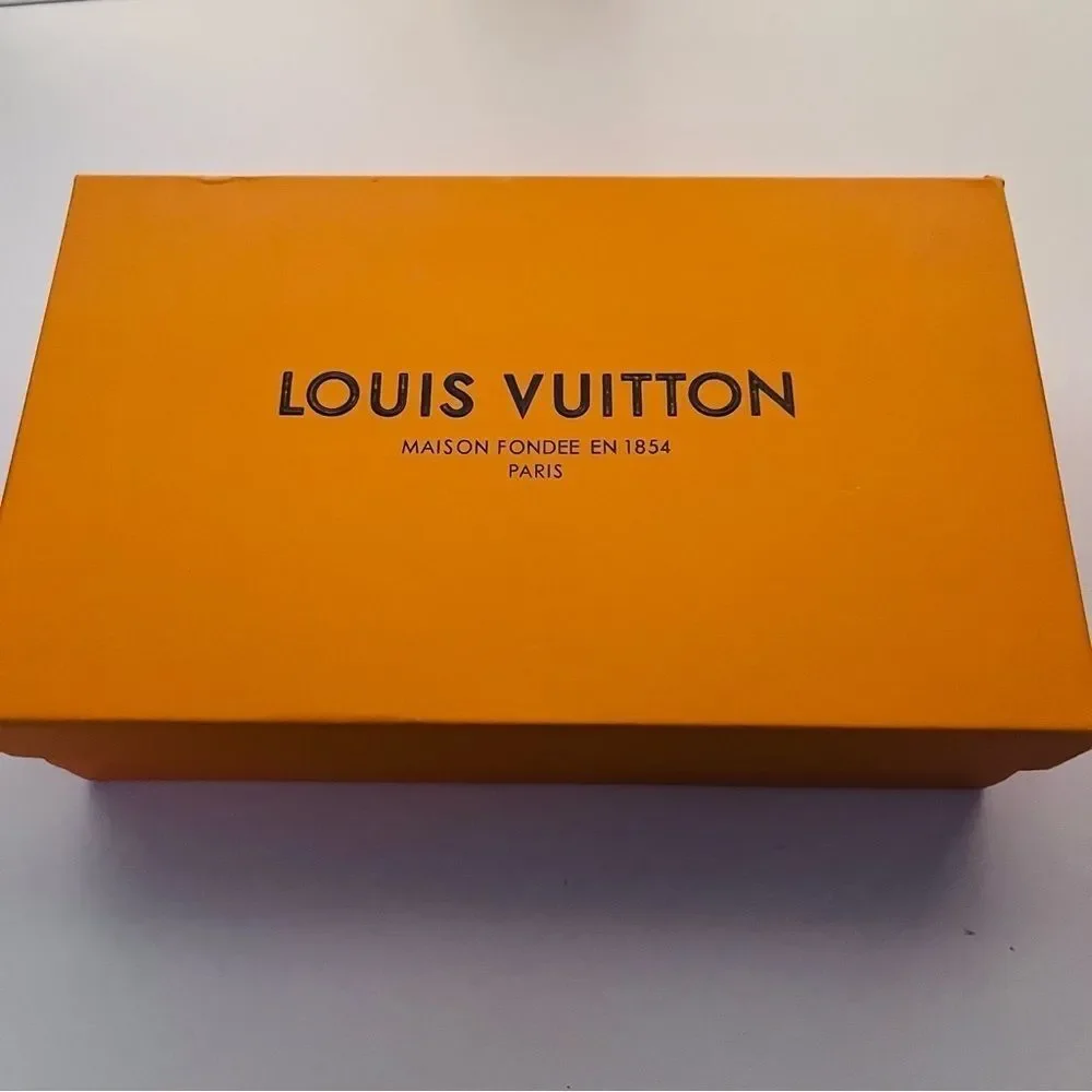 Louis Vuitton 6” questions