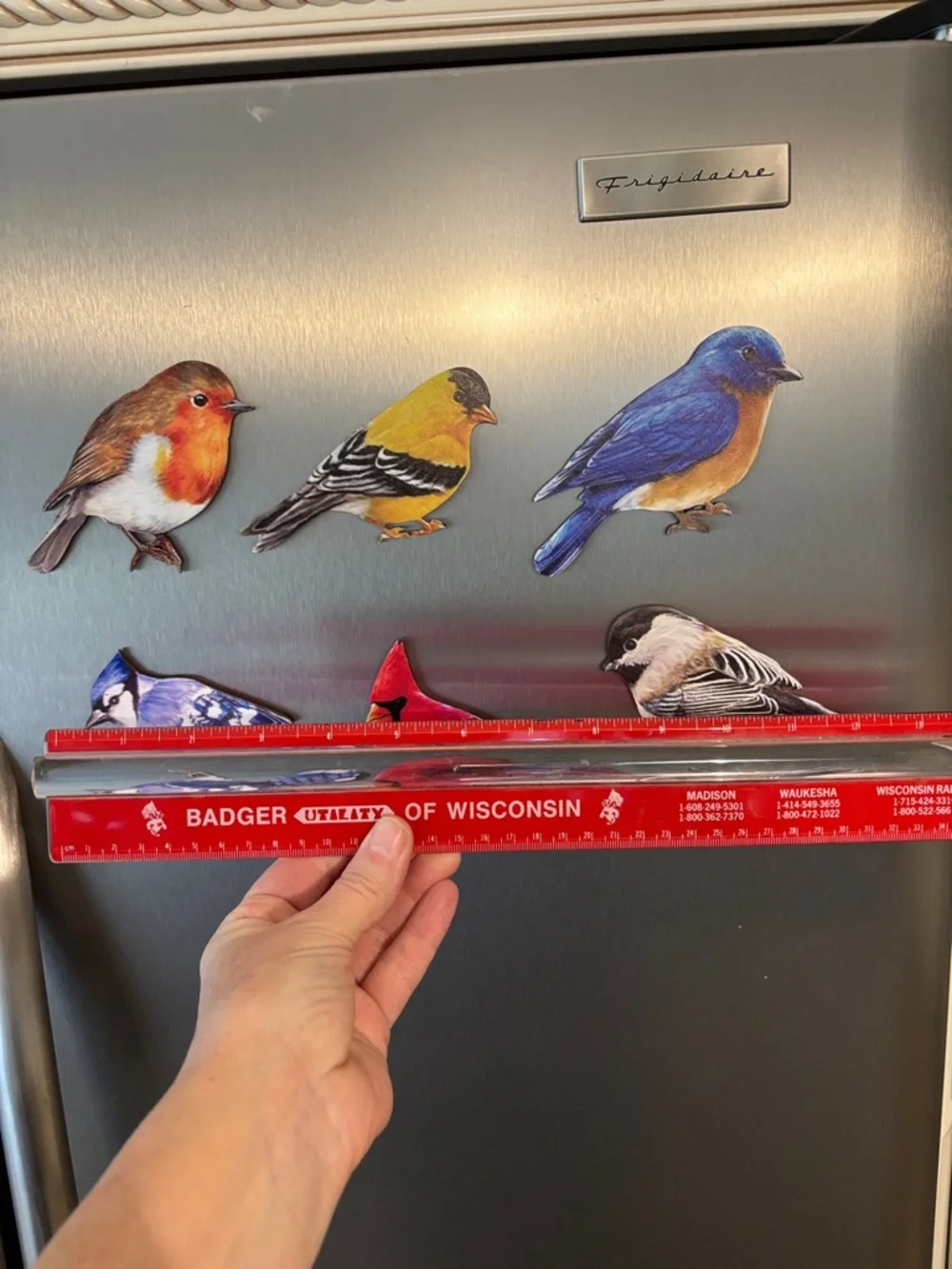 6🐦⬛Bird Magnet‎ Set - Colorful Decorative Bird Magnets for Fridge